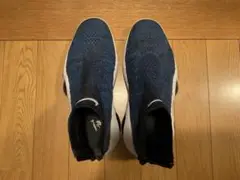 nike flight bonafide pure platinum