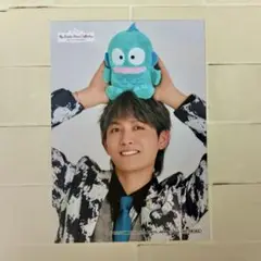 サンリオ　マイベス　萩谷慧悟　ブロマイド