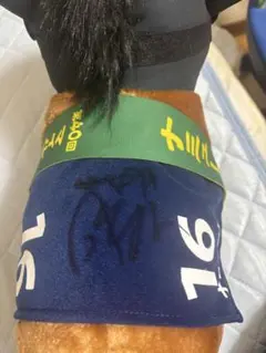 ナミュール 藤岡佑介騎手 直筆サイン入り 競馬