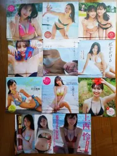 プレイボーイなど付属DVD　11枚セット　開封品