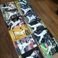 プロ野球 サイン入りカードセット