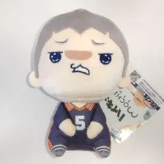 田中龍之介 もちぴこぬいぐるみ4 「ハイキュー!!」