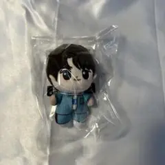 TWS ほわぬい マスコット シンユ ③