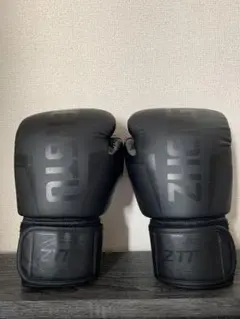 ZTTY グローブ　12oz 黒