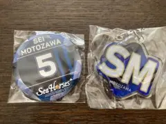 シーホース三河　#5 元澤誠