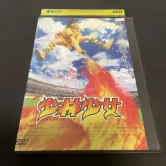 少林少女 DVD