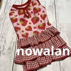 犬服ハンドメイド　メッシュティアードワンピース