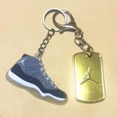 jordan11