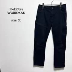 フィールドコア ビッグサイズ 3L 4D超撥水 ストレッチスラックス ブラック