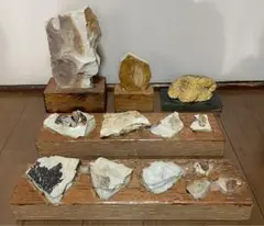 化石