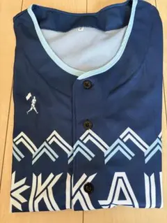 北海道日本ハムファイターズWE LOVE HOKKAIDO ユニフォーム