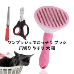 Item thumbnail for item c15d0753-7026-4a3d-9d0a-4e8e6d5ba032