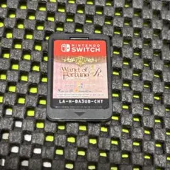 Wand of Fortune R Nintendo Switch 中国字幕