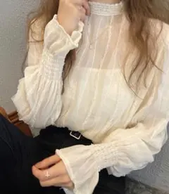 レースカラーシアーブラウス