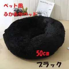 Item thumbnail for item ba0fde03-10c6-42b2-8d87-5cf887a0f32d