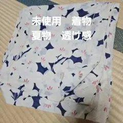 未使用　着物　夏物　透け感