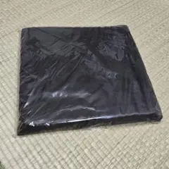 Item thumbnail for item 8dfeebcf-91e5-425a-b47a-6c6e878b1dc5