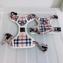 Item thumbnail for item fff00147-c895-49b0-a5c2-36bba22b60bc