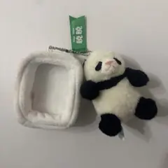 パンダ ぬいぐるみ 上野動物園　シャオシャオ　マスコット
