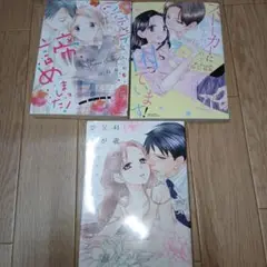 シンデレラ、諦めました!その他二冊セット販売