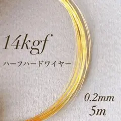 Item thumbnail for item 387bae30-56d6-4fc8-bbae-fa9aad6bfef2