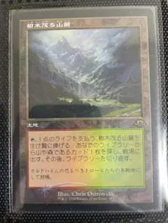 MTG, マジック:ザ・ギャザリング 通販 | ENNDAL GAMES / 【旧枠