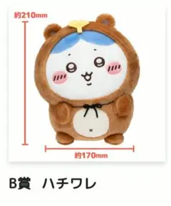 たぬきだもんくじ　Ｂ賞　ハチワレ