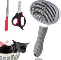 Item thumbnail for item f0585c56-ed78-4d8a-bb60-38ee7811b1c2