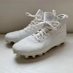 Item thumbnail for item 669b57ce-cd58-4b8d-acb5-ce73942c224c