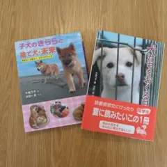 子犬のきららと柴犬・未来と犬たちをおくる日々
