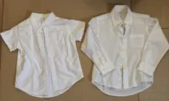 ブラウス
