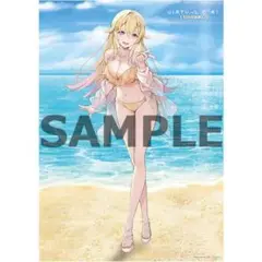 VIRTUAL GIRL ＠WORLDS END ソフマップ特典 タペストリー