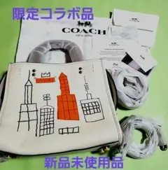 【新品未使用品】COACH × BASQUIAT 限定コラボ 3wayバッグ