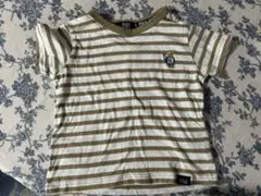 Polo ボーダー　Tシャツ 熊刺繍