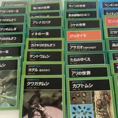 【大量40冊】科学のアルバム①　あかね書房 知的好奇心を育てる