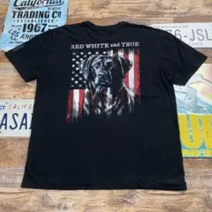 バックプリント　BUCK WEAR Tシャツ　星条旗　犬　XL