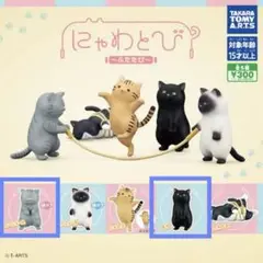 【新品未開封】にゃわとび 〜ふたたび〜