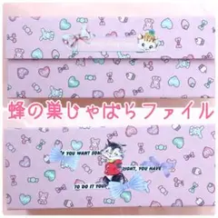 【蛇腹ファイル　1個】　じゃばらファイル　蜂の巣　収納ケース　おすそ分け