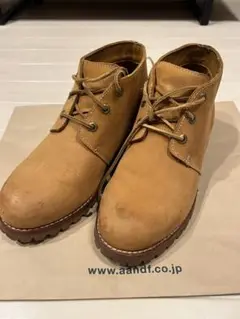 Item thumbnail for item c4f4293d-dfb5-4ab7-9560-35e4b0c1305c