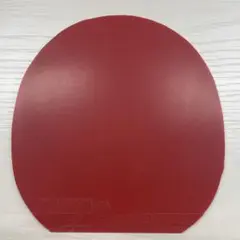 ラザンターR53 赤　2.0