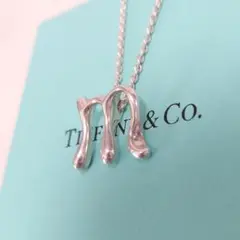 TIFFANY ティファニー イニシャルネックレス M