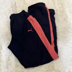 レディース　季節服　ブランドプーマ　PUMA ウィンドブレーカー パンツLサイズ