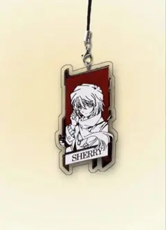 名探偵コナンー両面アクリル板ボードキーホルダーストラップ　キャラクターグッズ
