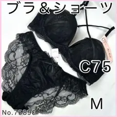 ブラジャーショーツセットC75 No.75890