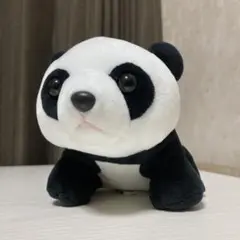 パンダぬいぐるみ 約18cm CUTE社 上野動物公園