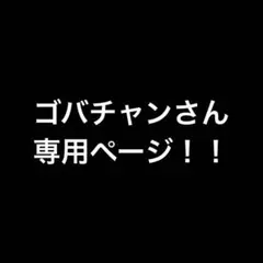 ゴバチャンさん 専用ページ！！