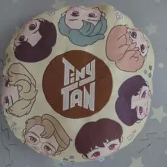 BTS タイニータン tiny tan
寝そべり プレミアムラウンドクッション