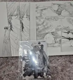 ヴァンパイア騎士　複製原画　vol.5&8 ブロマイド　通販限定　3点セット