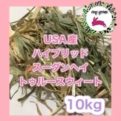 Item thumbnail for item 0b610de8-1c6d-4326-8e16-c83644616e5d