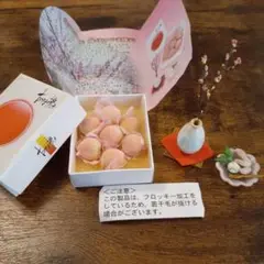 リーメント 産地直送 もぎたてパック フルーツ りんご 桃 バナナ 伊勢海老 リーメント 産地直送 もぎたてパック フルーツ りんご 桃 バナナ